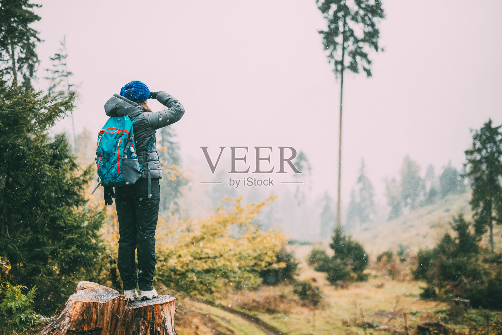 一名年轻女子站在森林中的树桩上，在毁林区遥望远方。后视图。第一场雪正在落下照片摄影图片