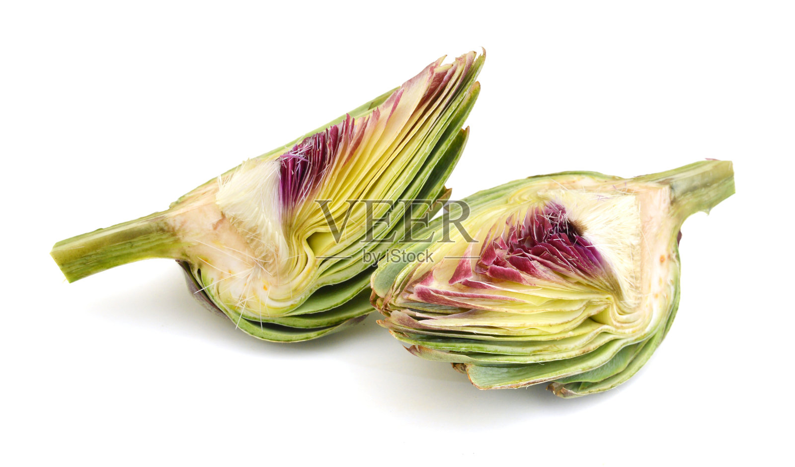 白色背景上分离的新鲜洋蓟照片摄影图片