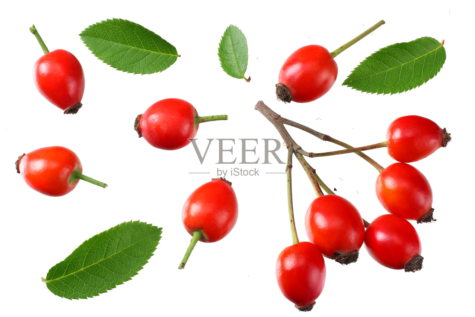 白色背景上孤立的绿叶的蔷薇果。俯视图照片摄影图片