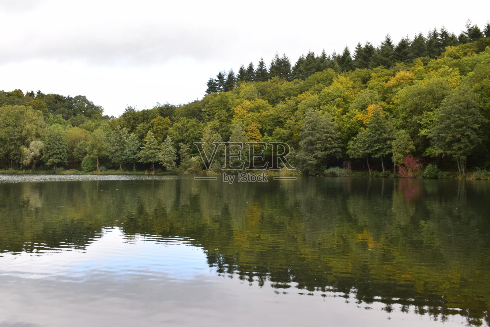 霍尔茨马尔照片摄影图片