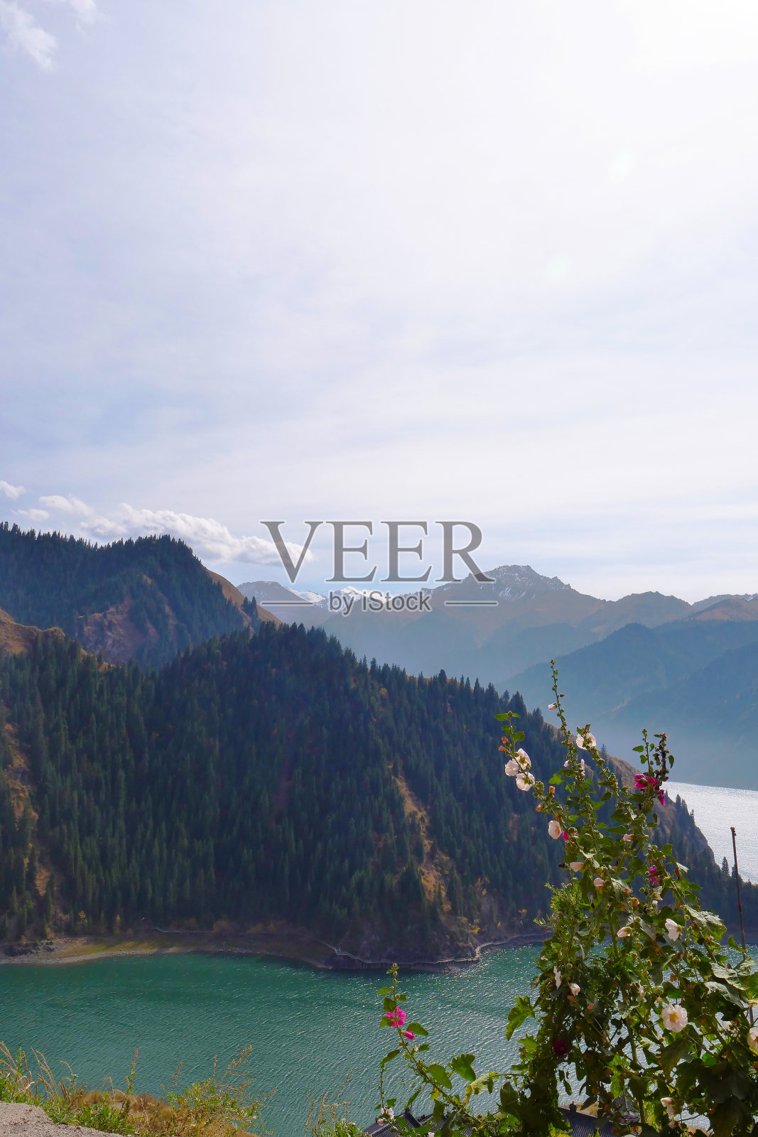 中国新疆天山天湖的自然景观。照片摄影图片