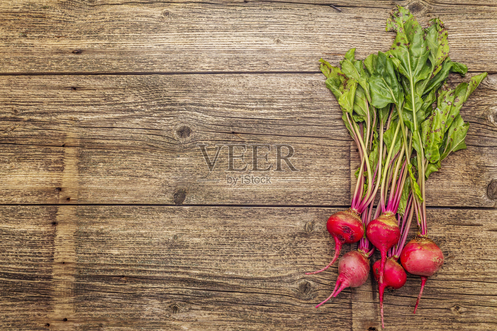 新鲜的有机成熟甜菜根。秋天收获的蔬菜。准备健康食品的概念照片摄影图片