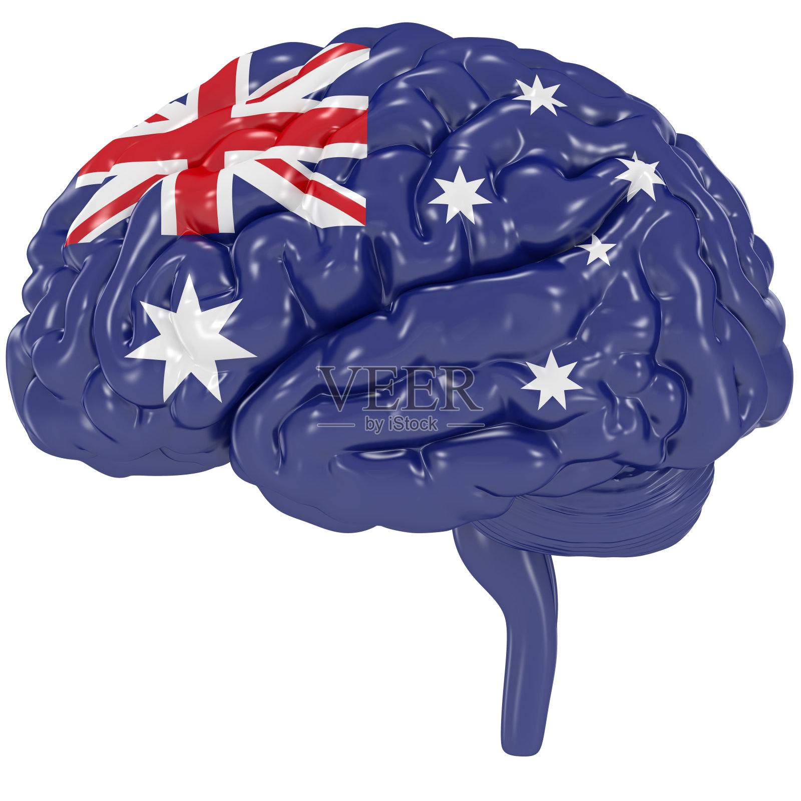 3D人脑是澳大利亚的彩旗照片摄影图片