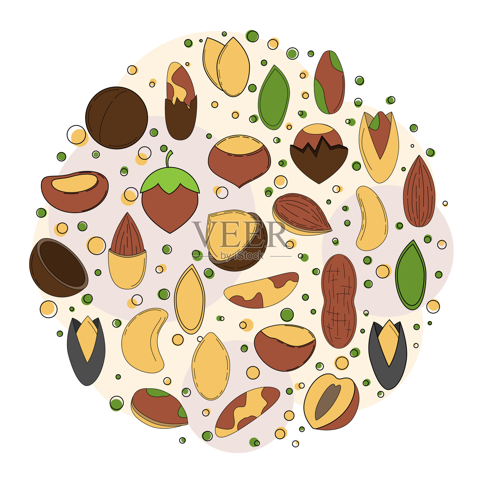 坚果卡的概念。矢量插图设计和网页，插画图片素材