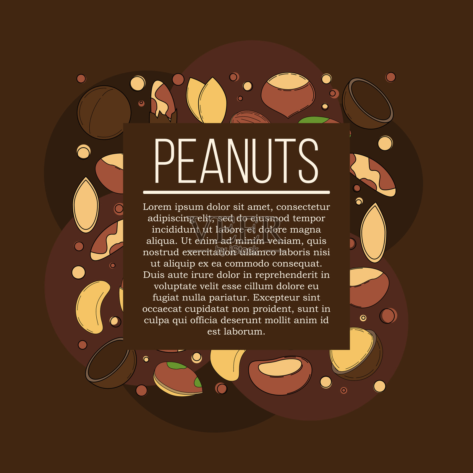 坚果卡的概念。矢量插图设计和网页，插画图片素材