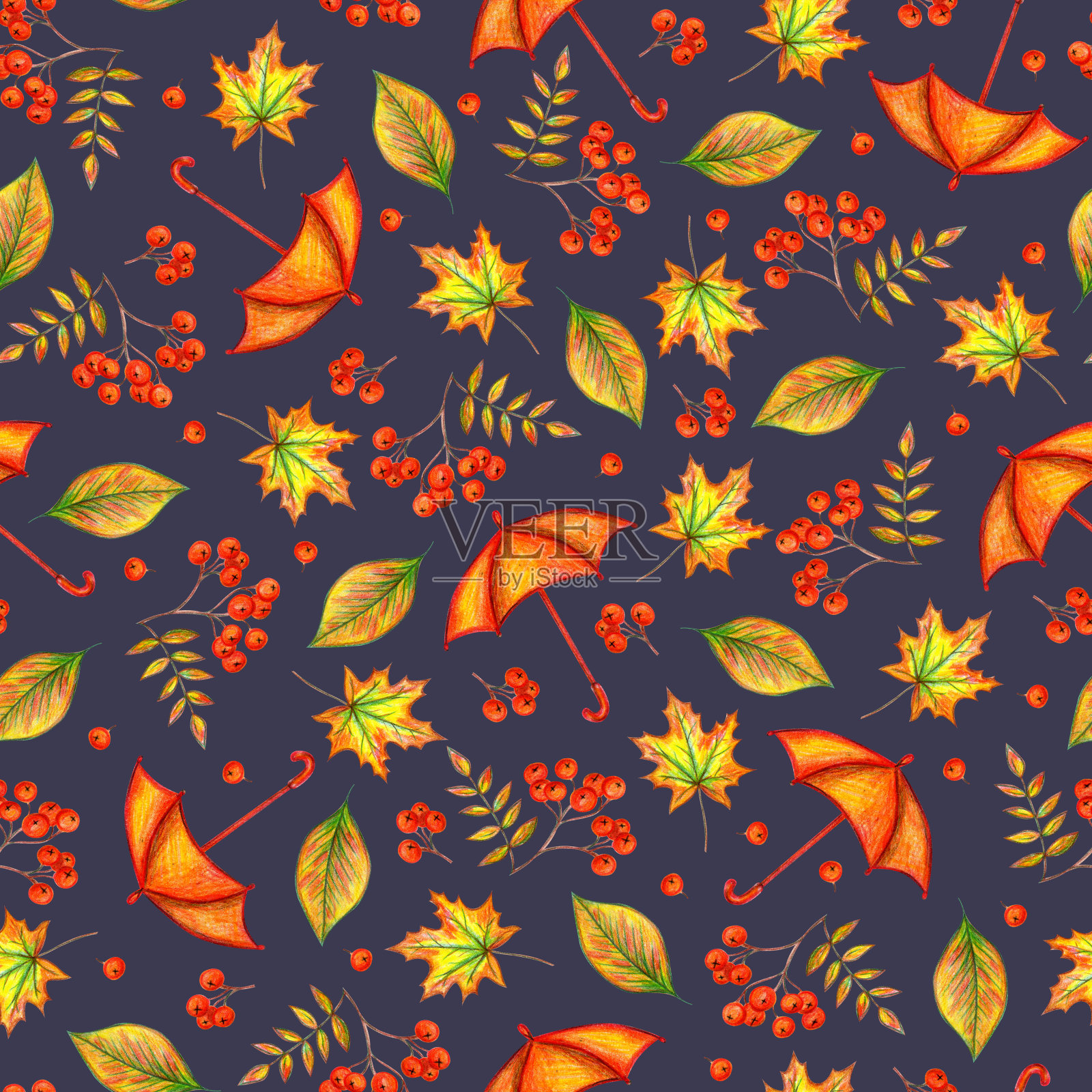 橙色的伞，秋叶和花楸浆果插画图片素材