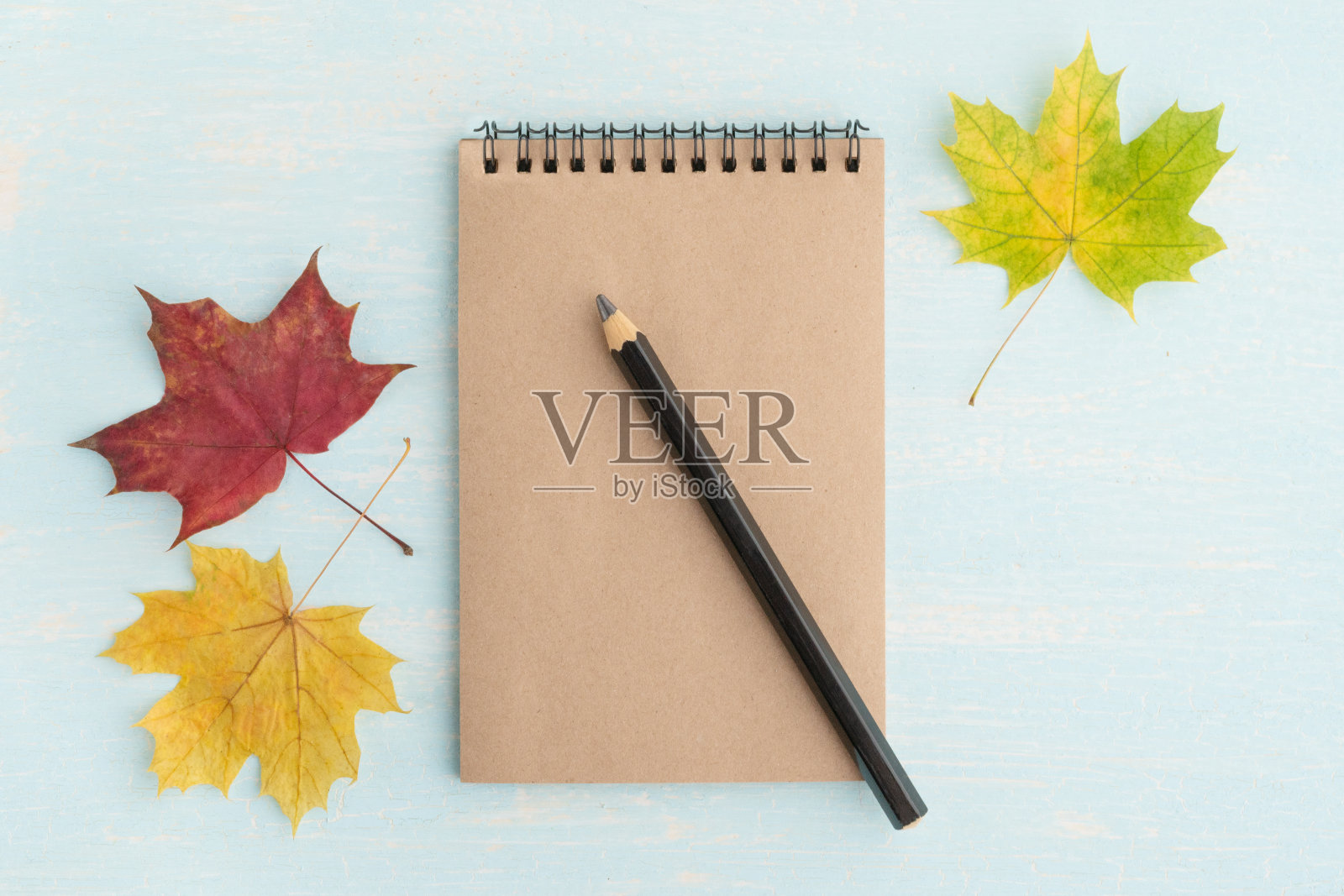 一张空白纸旁边的枫叶。框为文字，秋为主题。从以上观点。照片摄影图片