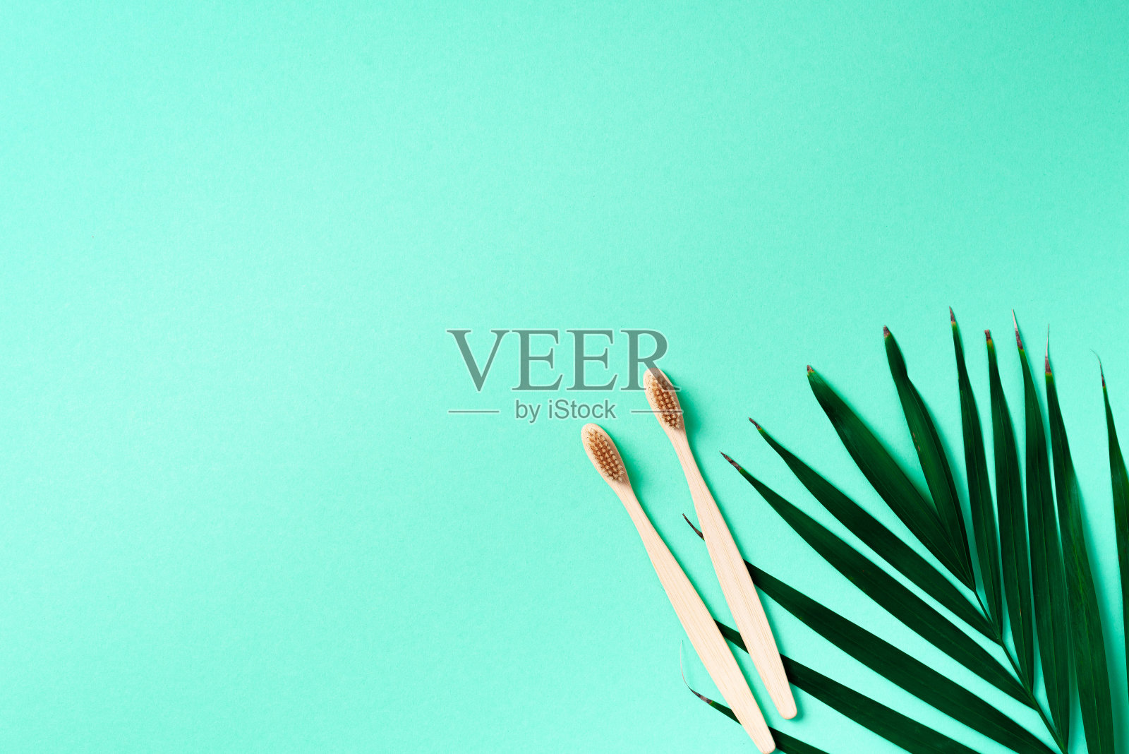 “零浪费”的概念。由小苏打制成的天然牙膏和竹制牙刷，在时髦的绿色背景下加上棕榈叶。塑料免费必需品，牙齿护理理念。可持续的生活方式照片摄影图片