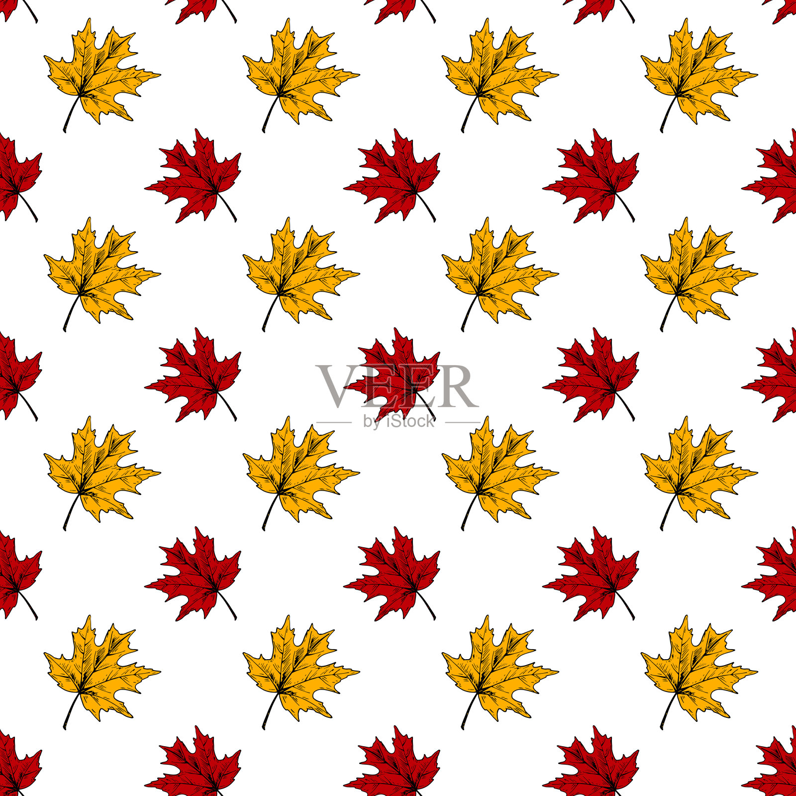 植物无缝图案，红色和黄色的枫叶在白色的背景。秋天的设计。手绘草图矢量插图。古董艺术线条插画图片素材