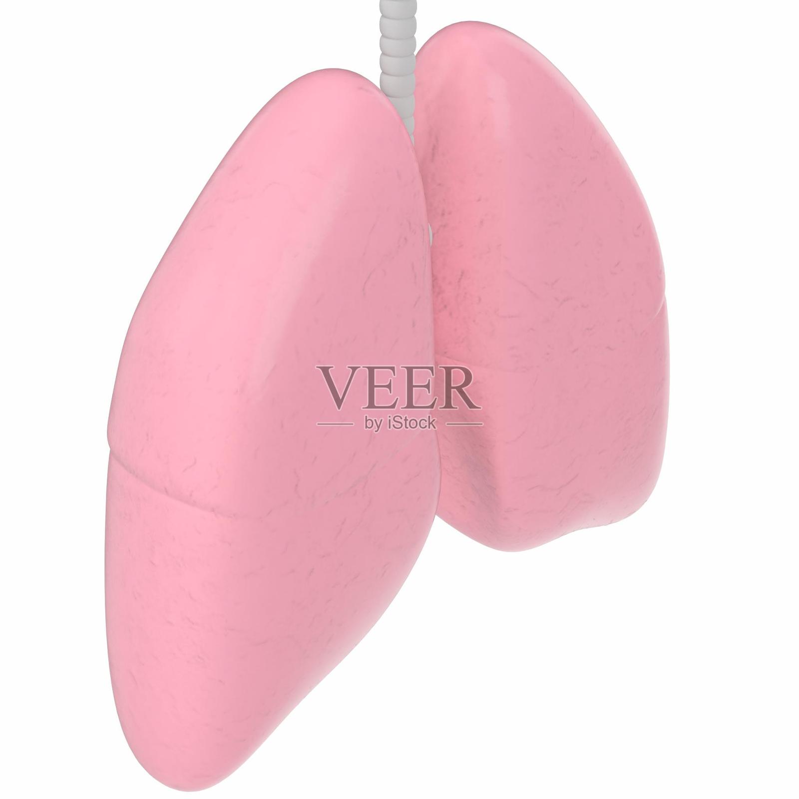 程式化的人类肺照片摄影图片