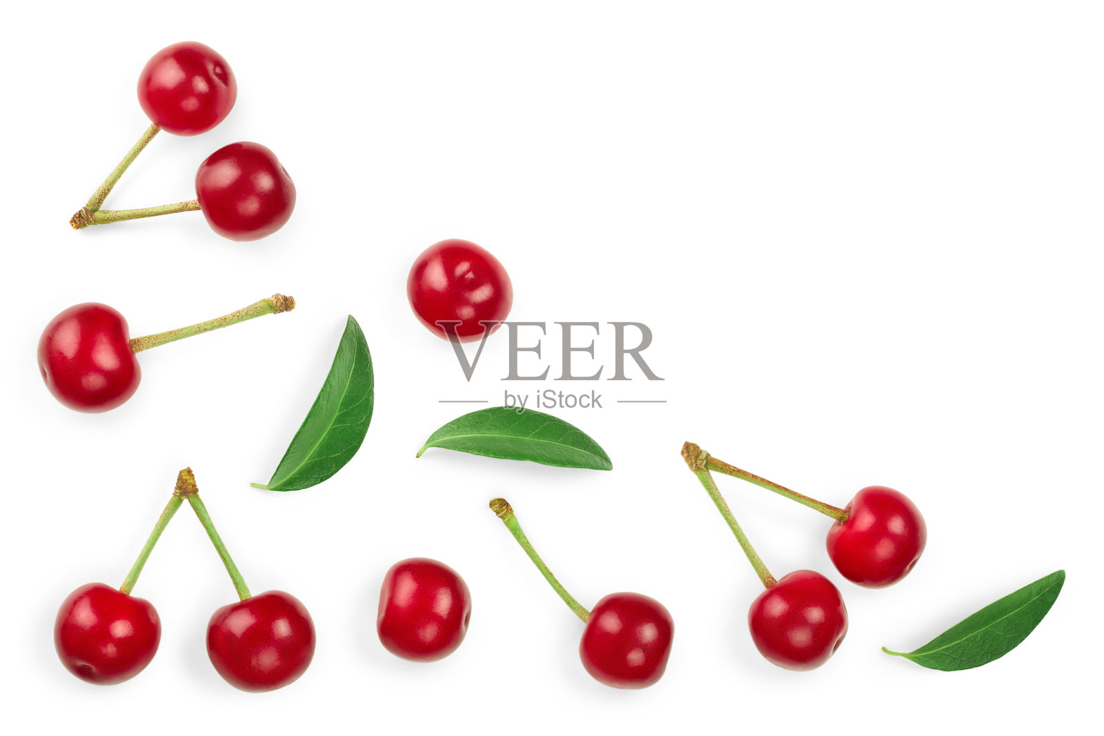 一些樱桃的叶子特写孤立在白色的背景。为你的文本留出拷贝空间。前视图。平躺照片摄影图片