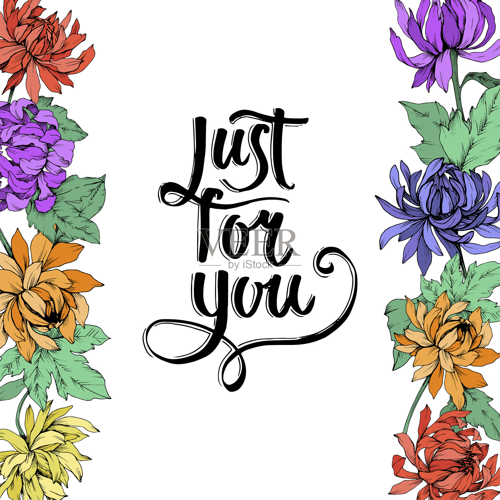 矢车菊，花卉植物花。艺术雕刻墨水。边框装饰方形。插画图片素材