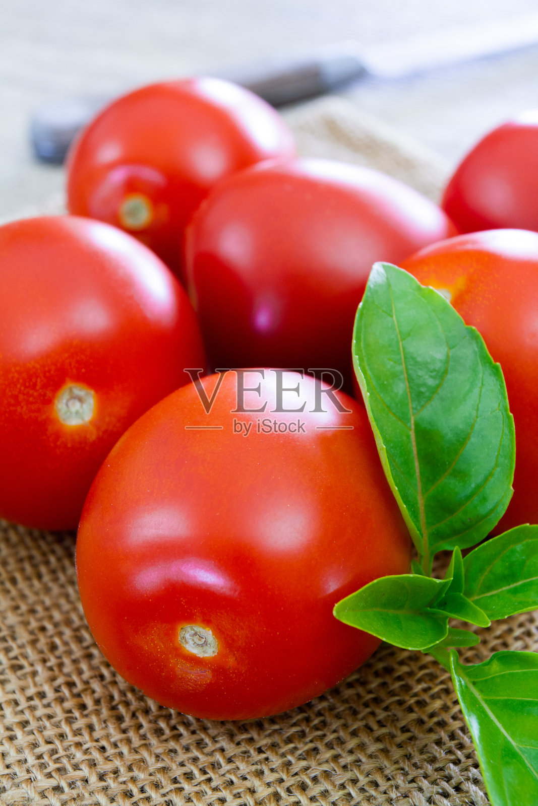 细长的番茄照片摄影图片