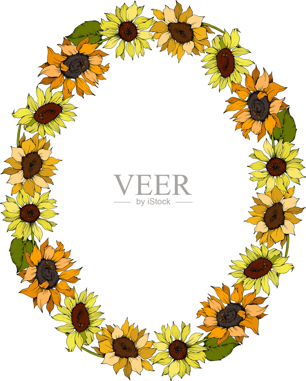 向量向日葵花植物花。黄绿镌刻水墨艺术。边框装饰方形。插画图片素材