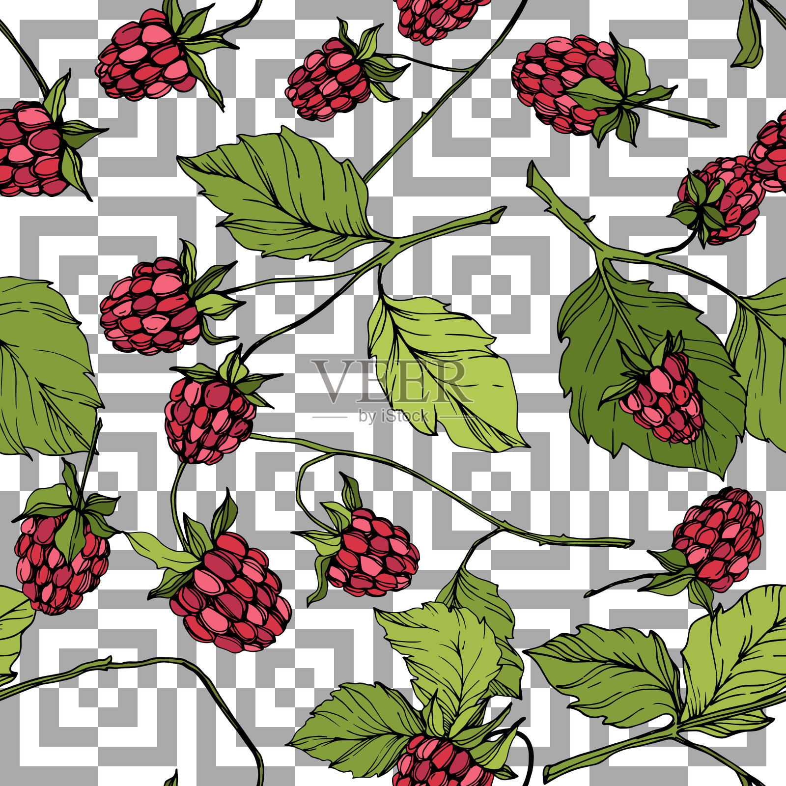 病媒树莓健康食品隔离。红绿镌刻水墨艺术。无缝的背景图案。插画图片素材