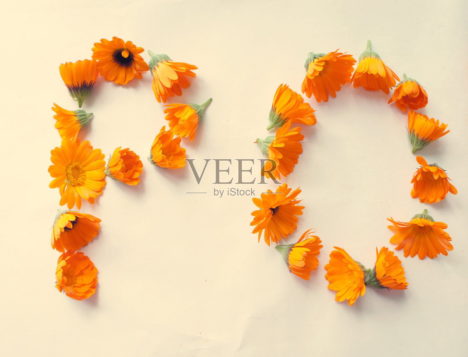 字母P和o。金盏花的字母。花的字体。组成。美丽的首都花字母。字母表。前视图。一个柔软的老式过滤器。照片摄影图片