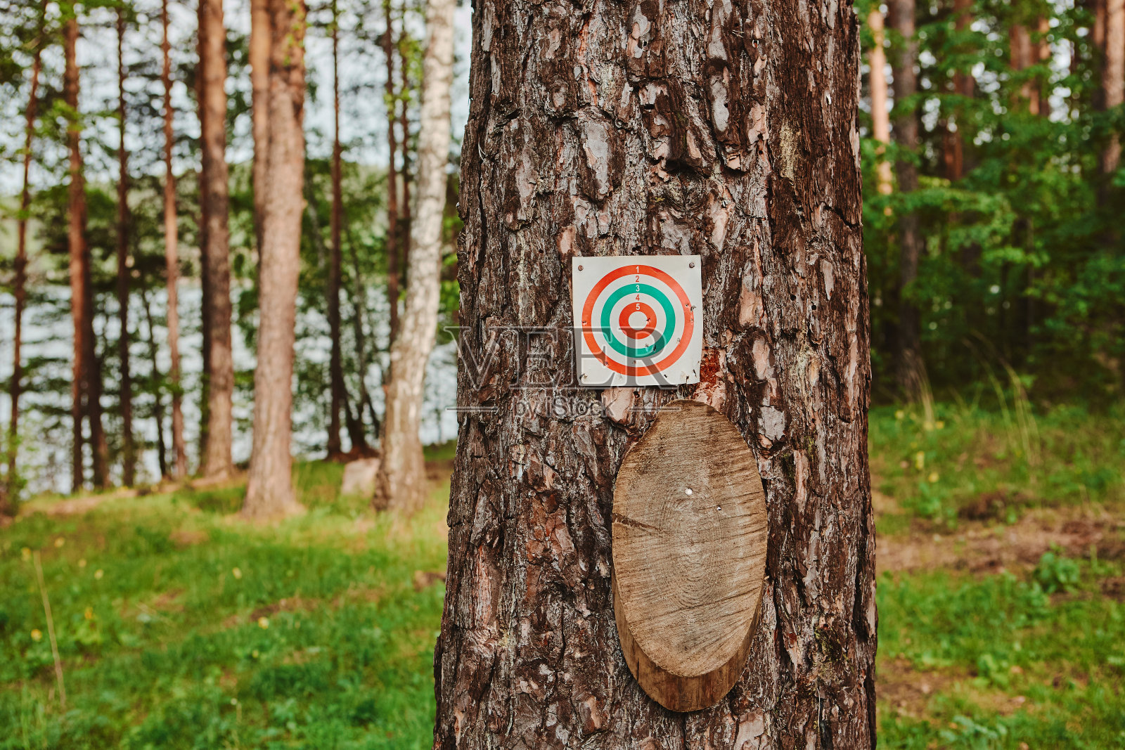 游戏和射击训练用的纸和木靶照片摄影图片