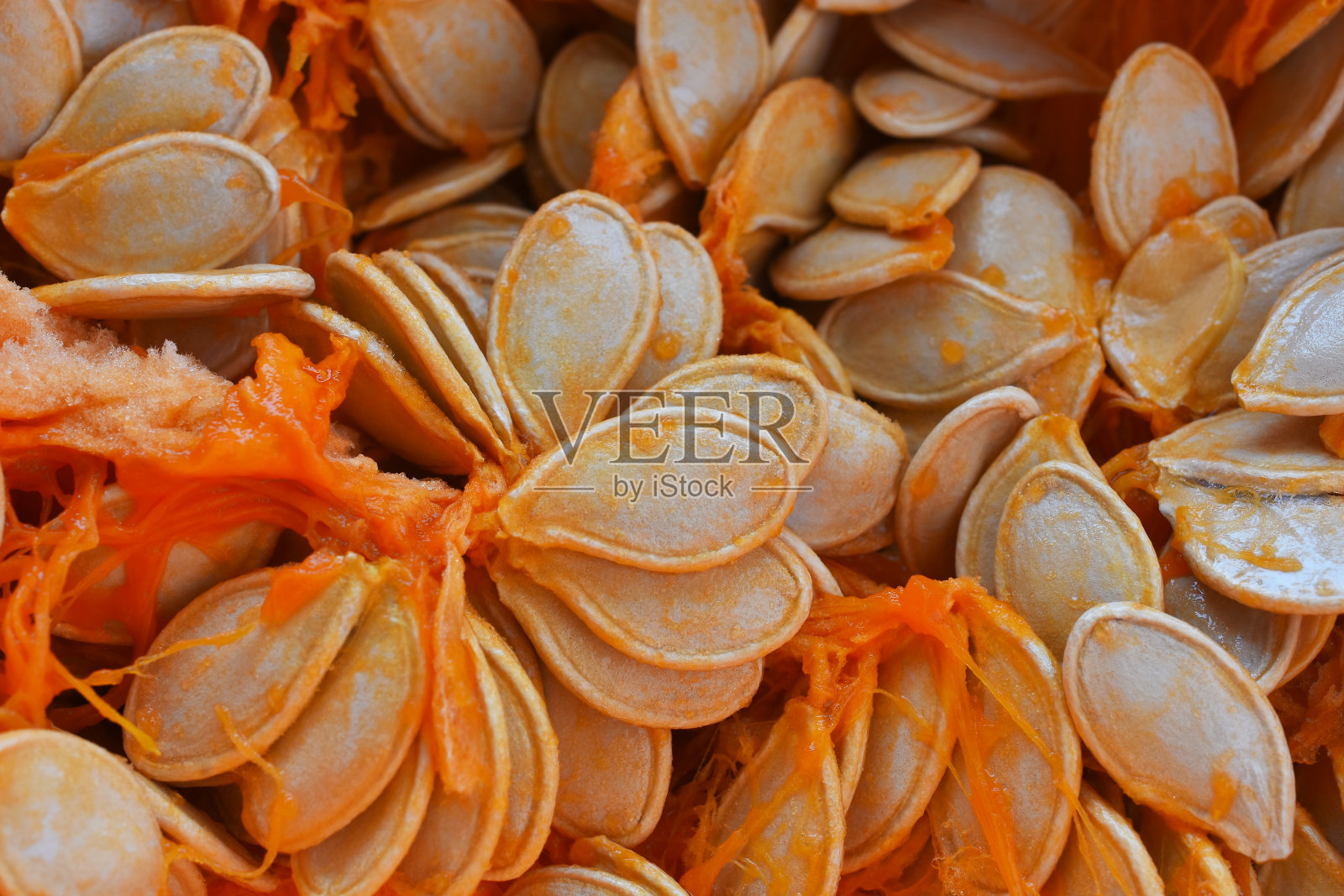 南瓜种子照片摄影图片