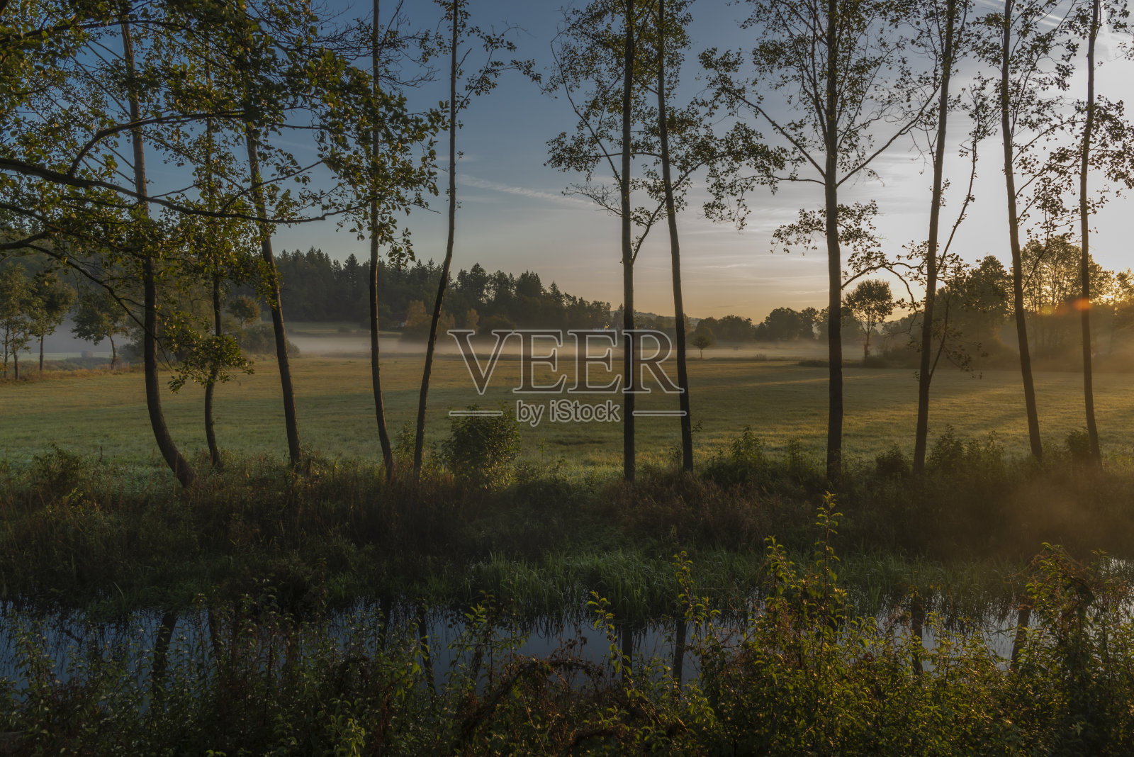 秋日清晨，波西米亚南部的布兰尼斯河上日出照片摄影图片