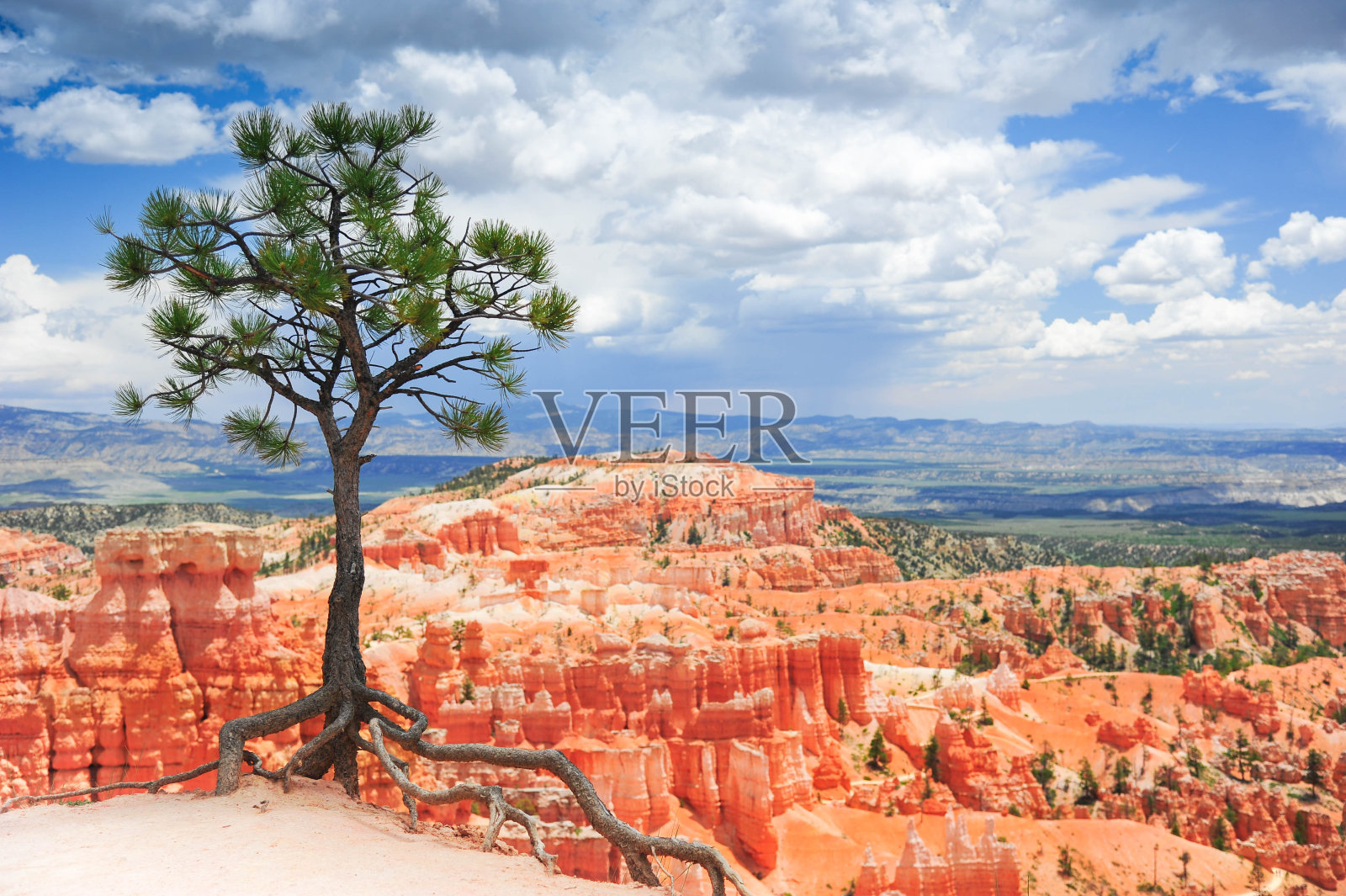 布莱斯峡谷和它的荣耀照片摄影图片