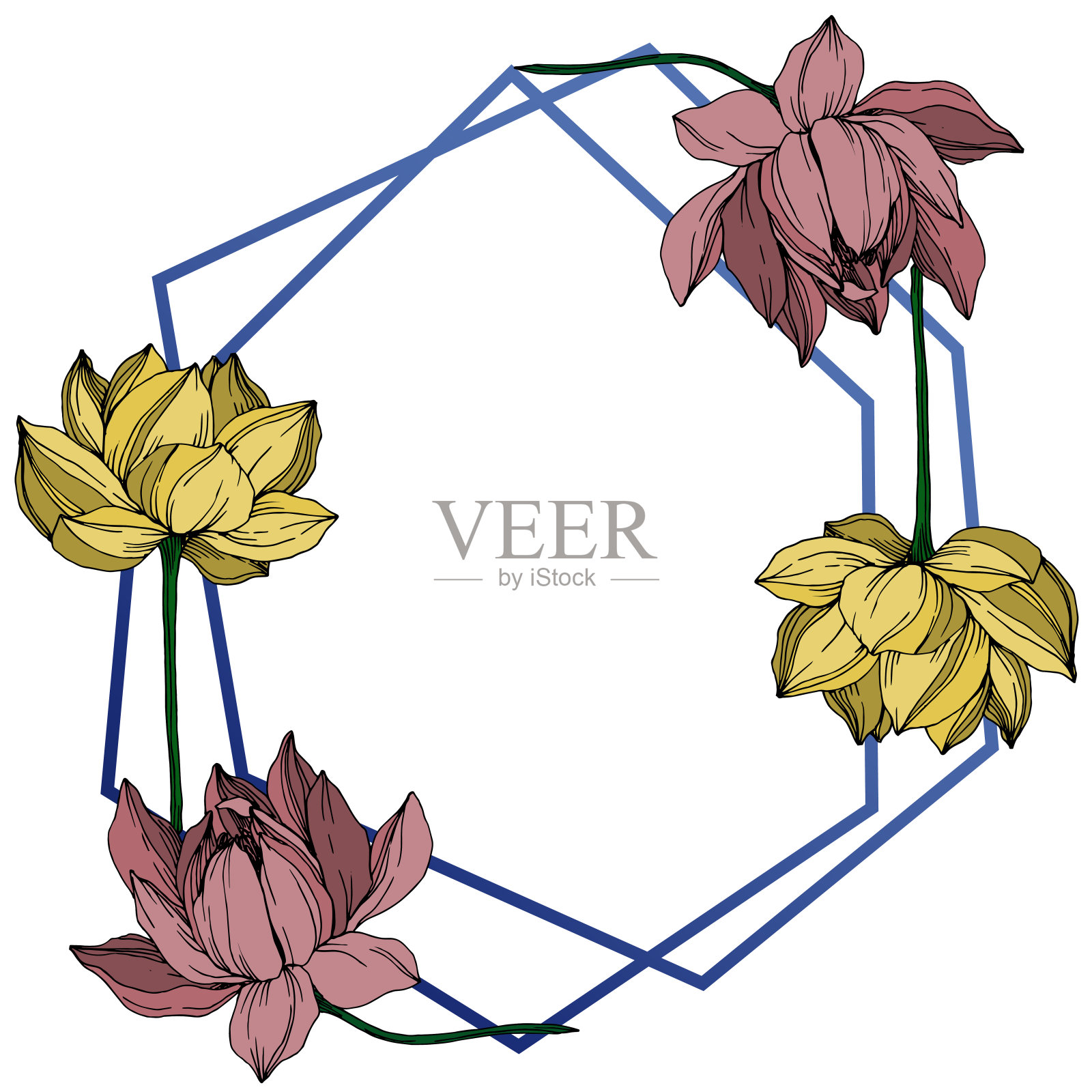 向量莲花花植物花。黑白篆刻水墨艺术。边框装饰方形。插画图片素材