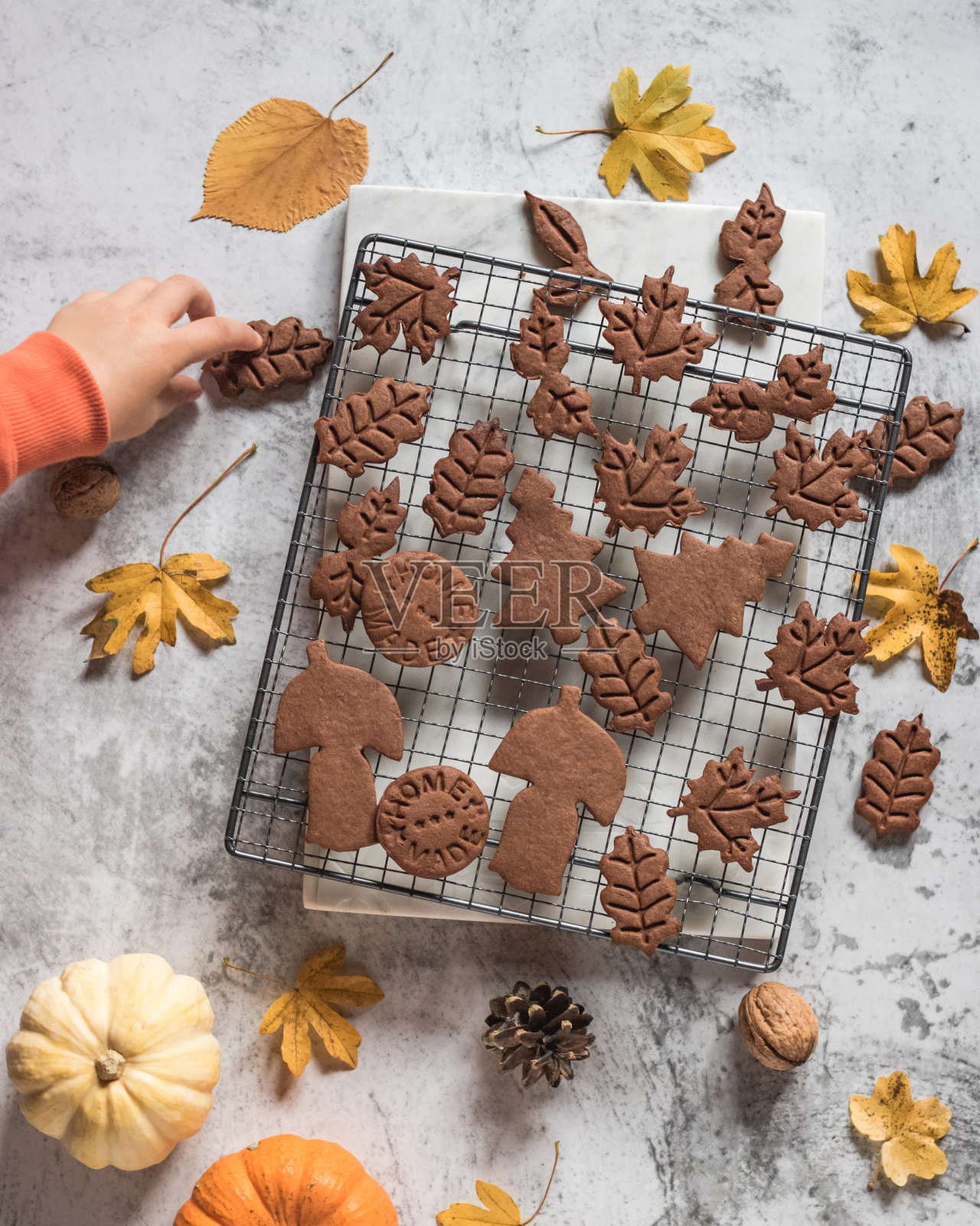 秋天的巧克力饼干与孩子的手，南瓜和黄叶照片摄影图片
