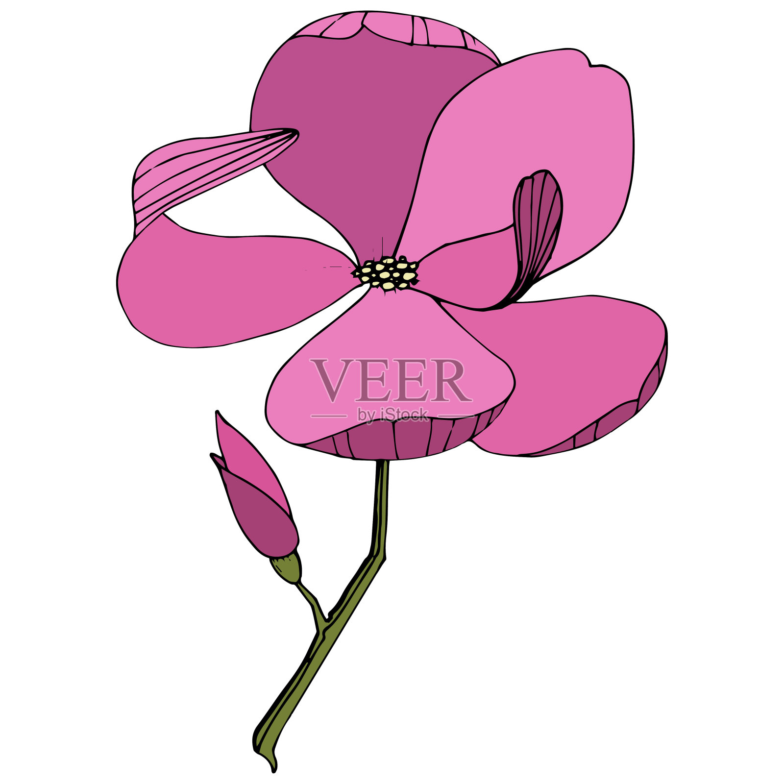 载体木兰花植物花。紫色雕刻水墨艺术。孤立木兰插图元素。插画图片素材