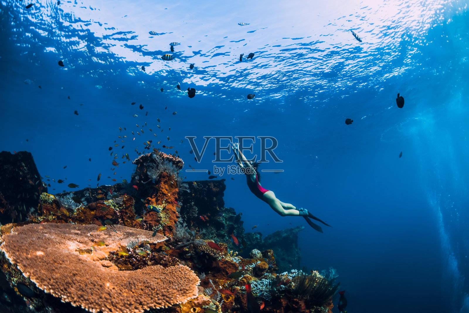 自由潜水女孩在沉船上游泳。照片摄影图片