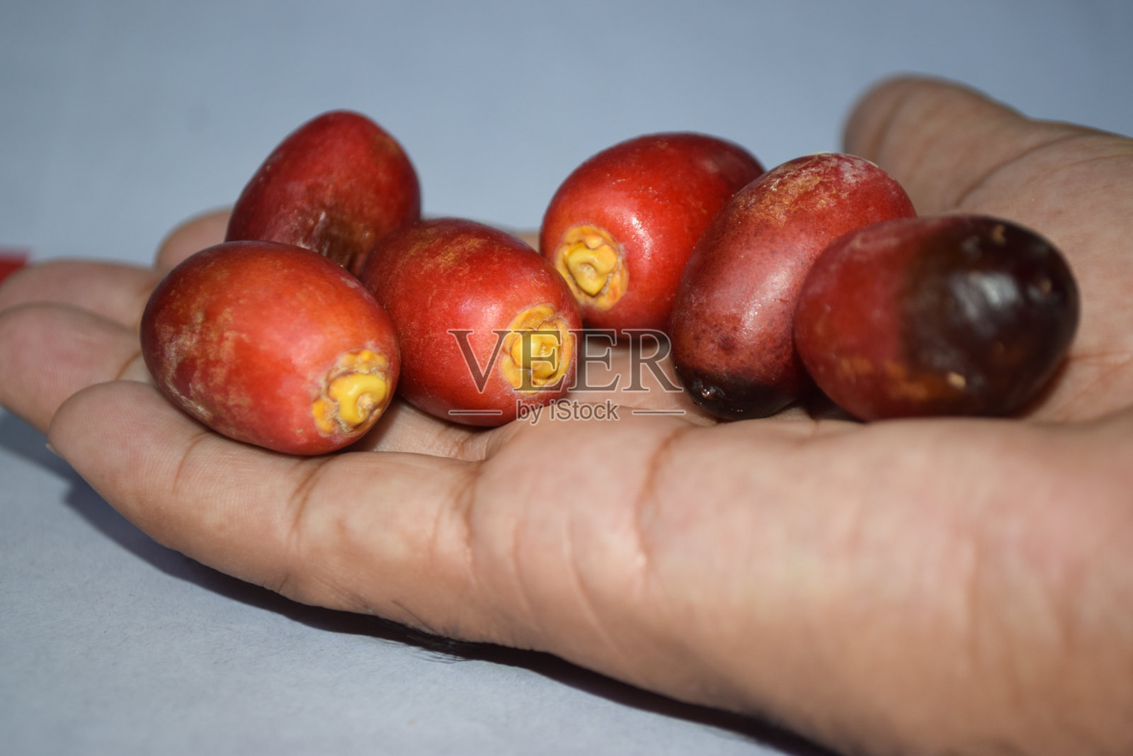 红枣水果健康生活方式素食新季节新鲜干粮家花园户外照片摄影图片