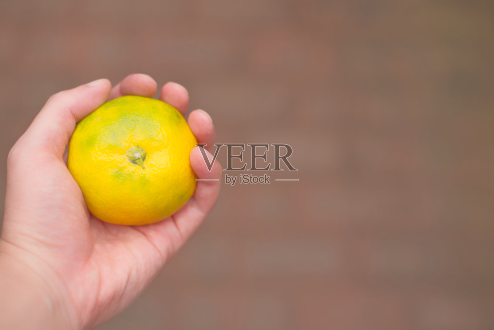 橙色照片摄影图片