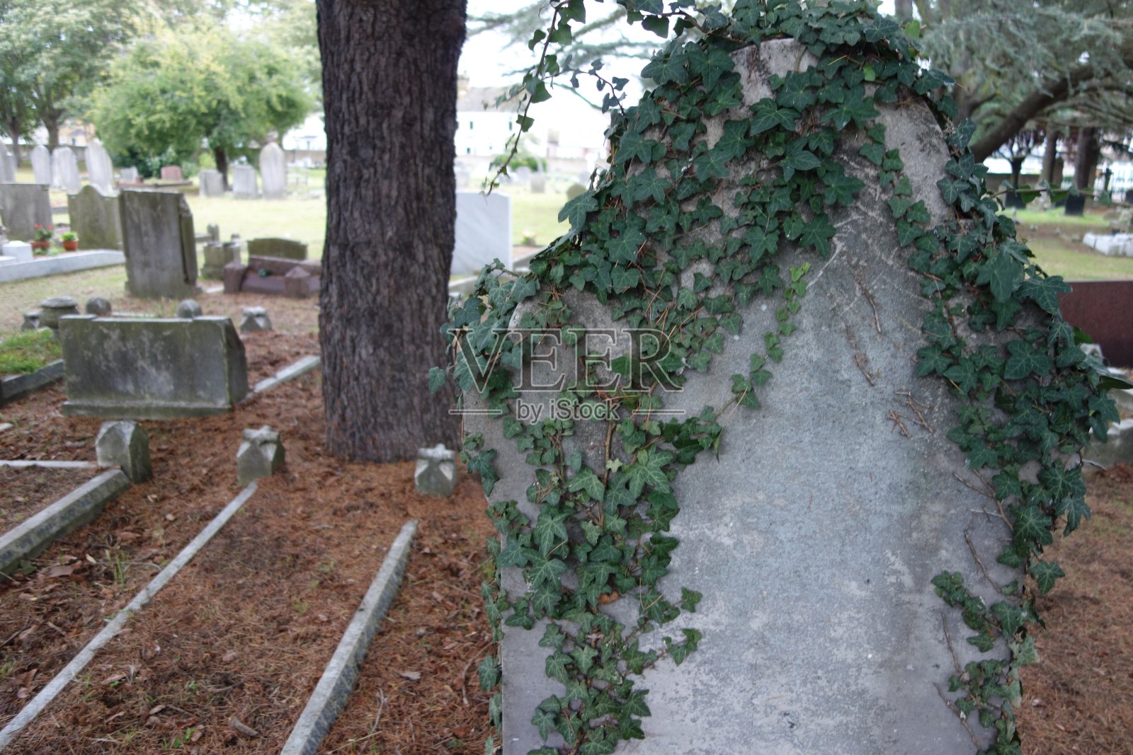 古老的墓碑照片摄影图片