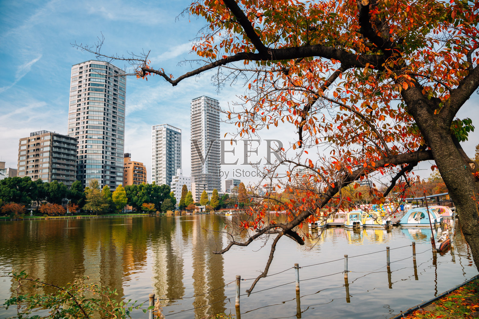 上野公园、Shinobazu池塘和日本东京秋季的现代建筑照片摄影图片