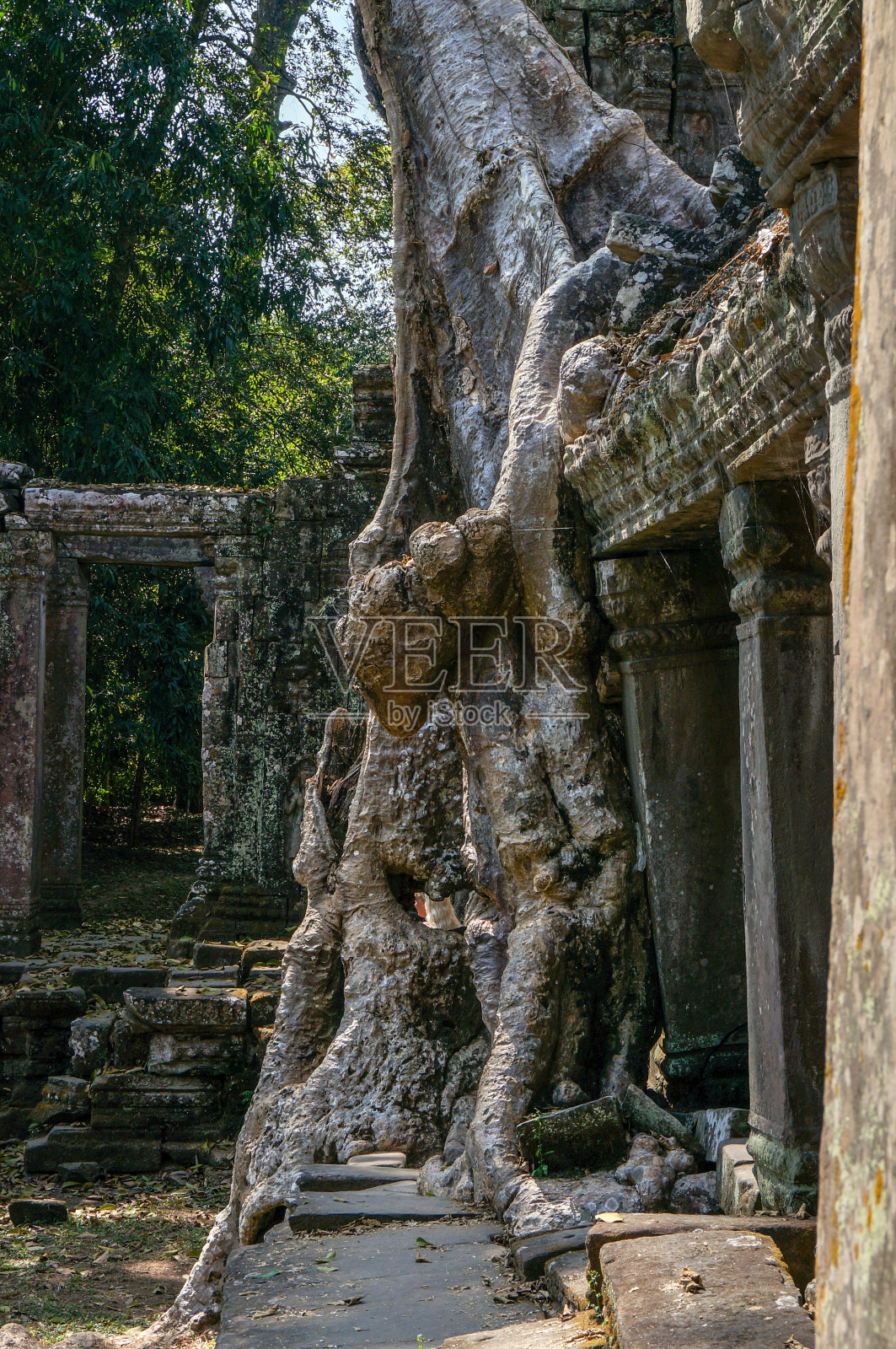 吴哥窟庙宇的废墟照片摄影图片