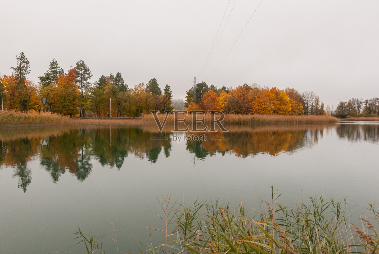 西班牙昆卡的Laguna de Uña的秋天照片摄影图片