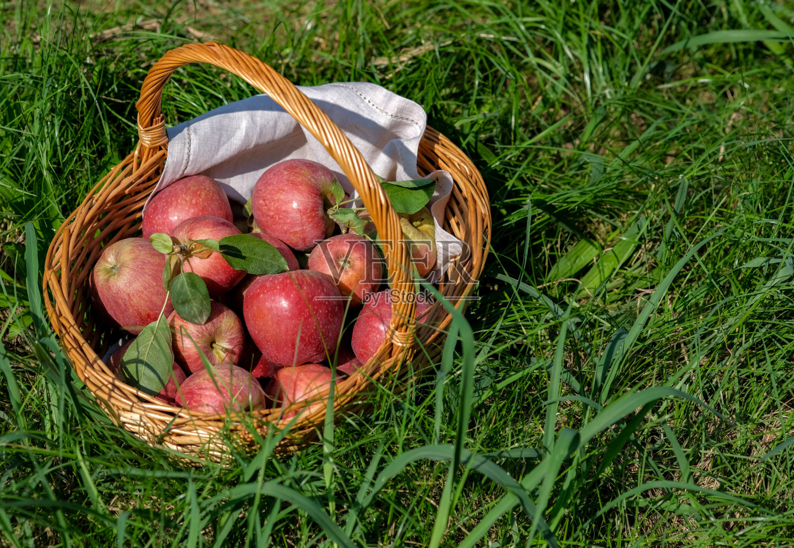 有机成熟的红苹果柳条篮子孤立在绿草背景照片摄影图片