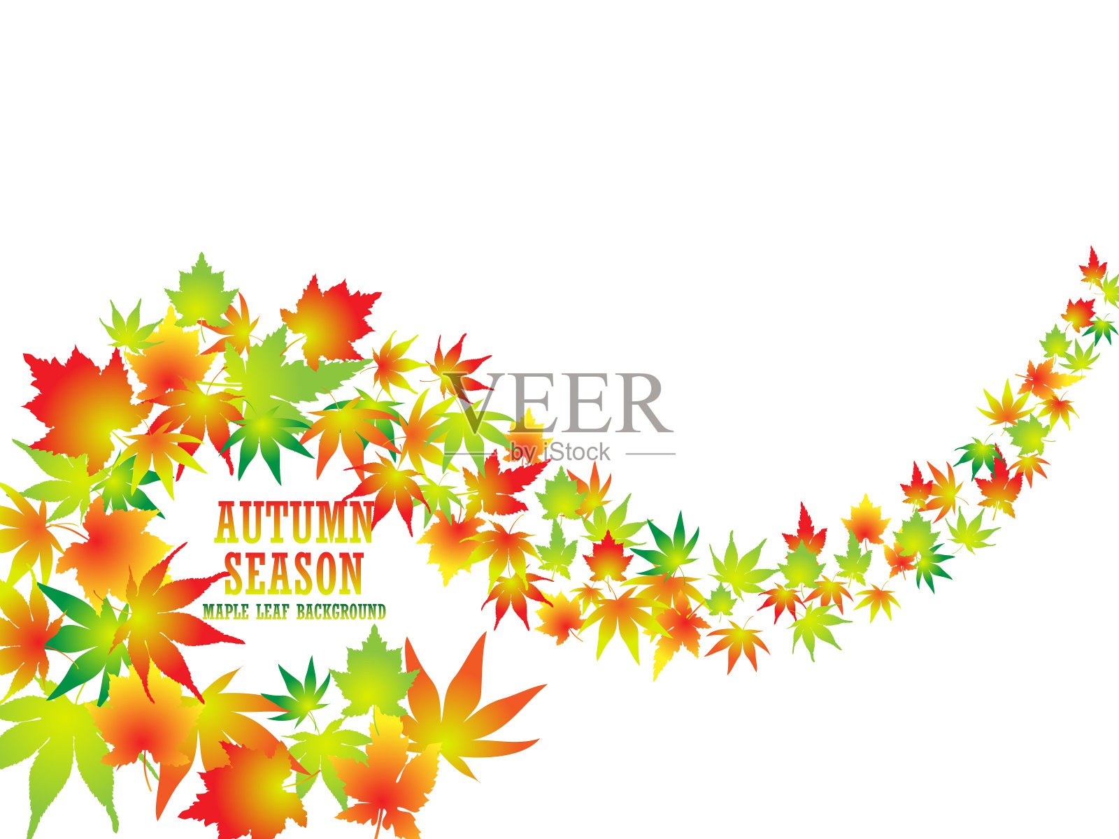 概念和理念的背景是枫叶。向量EPS10插画图片素材