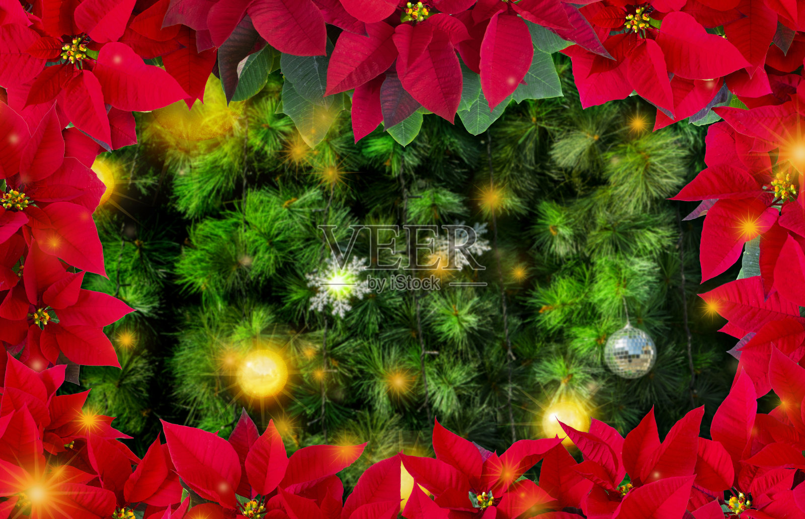 圣诞节，圣诞红，圣诞树，贺卡照片摄影图片