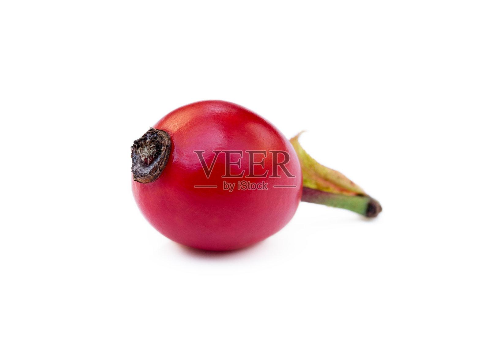 成熟的野玫瑰果照片摄影图片