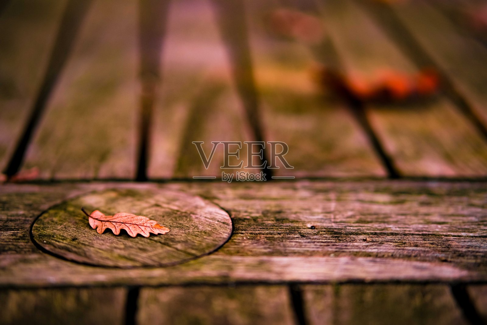 秋叶在木制的背景上照片摄影图片