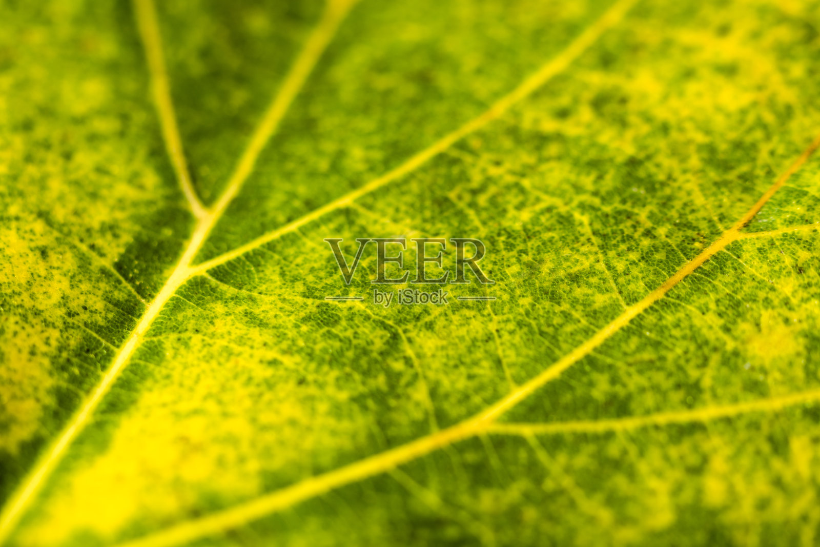 秋天的颜色照片摄影图片