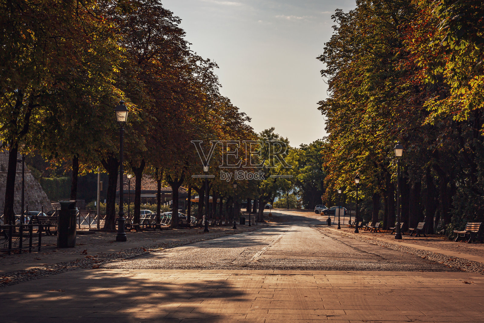 布雷西亚城的中世纪城堡，有一只叼着书的飞狮。照片摄影图片