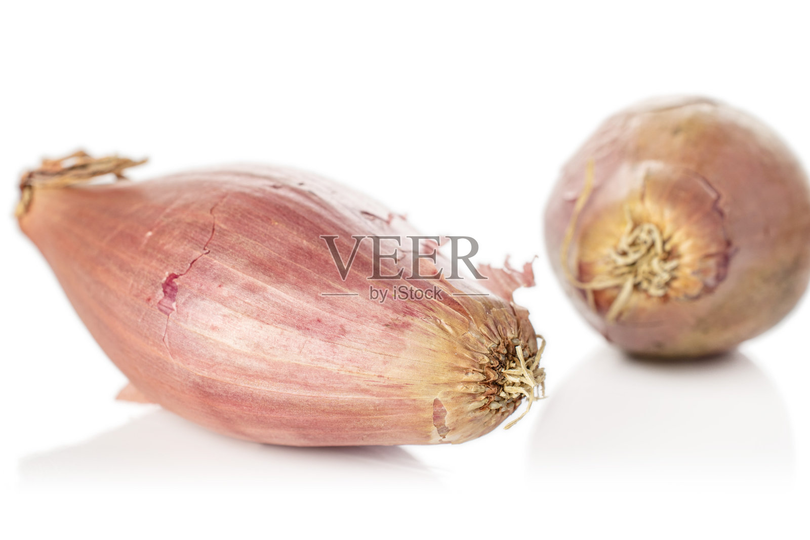 新鲜的棕色青葱，孤立在白色上照片摄影图片