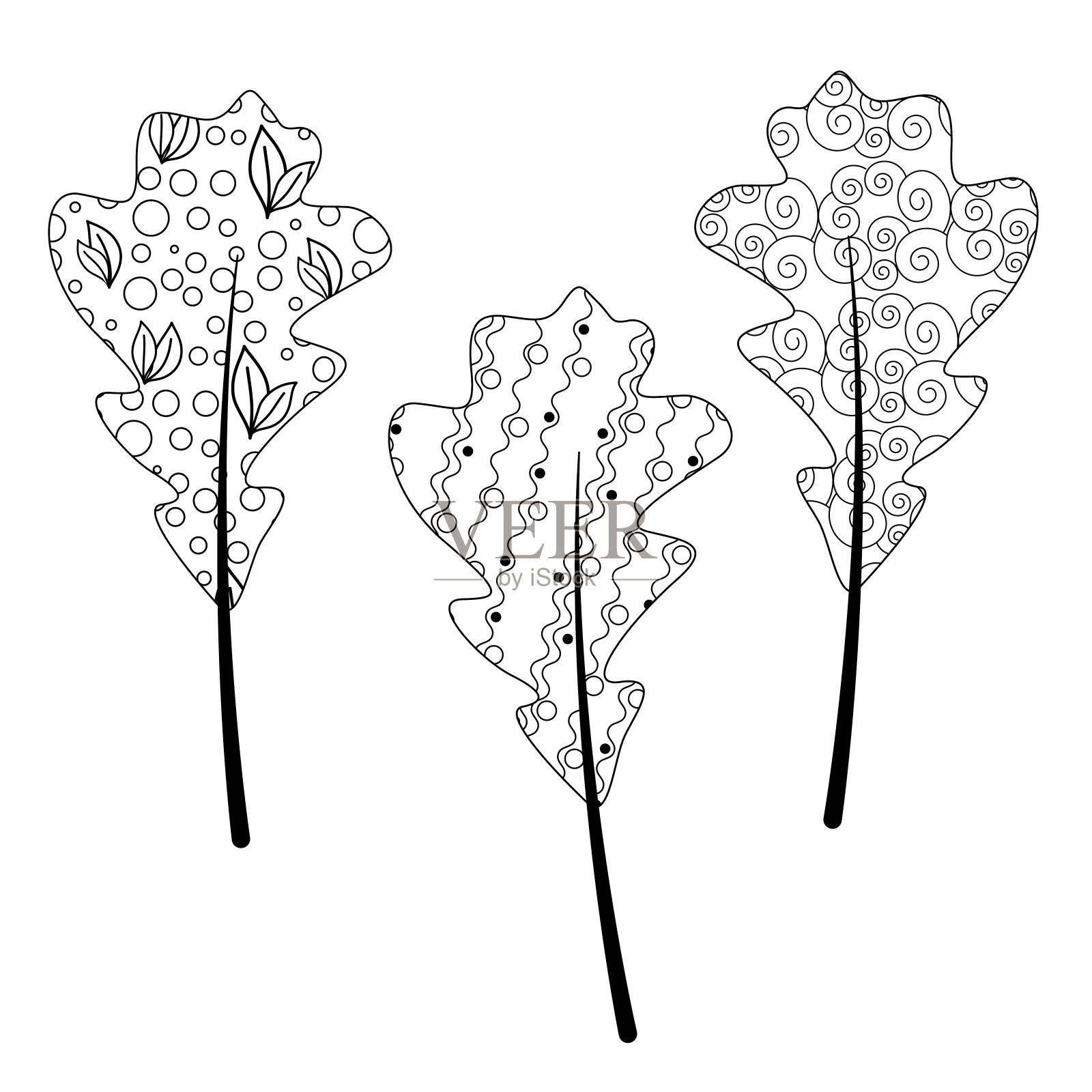 涂鸦秋叶为成人抗压力着色书在一个白色的背景。禅宗艺术矢量插图插画图片素材