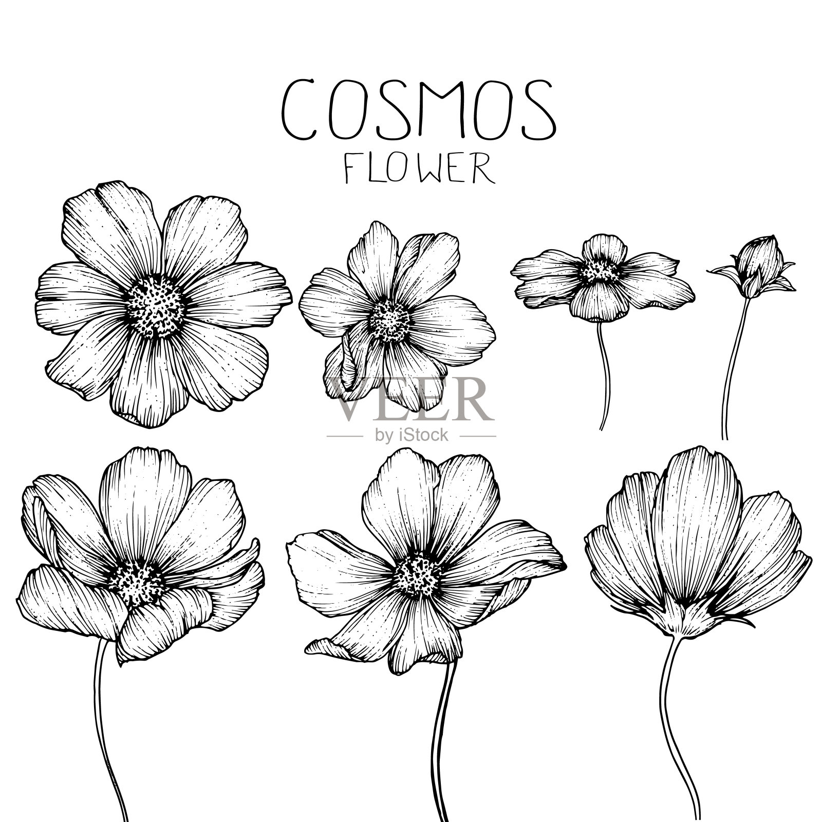 宇宙花画插画图片素材