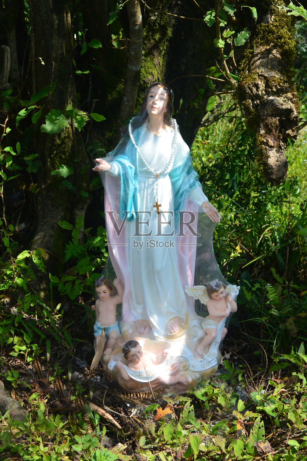 丛林中圣母玛利亚和天使的雕像照片摄影图片