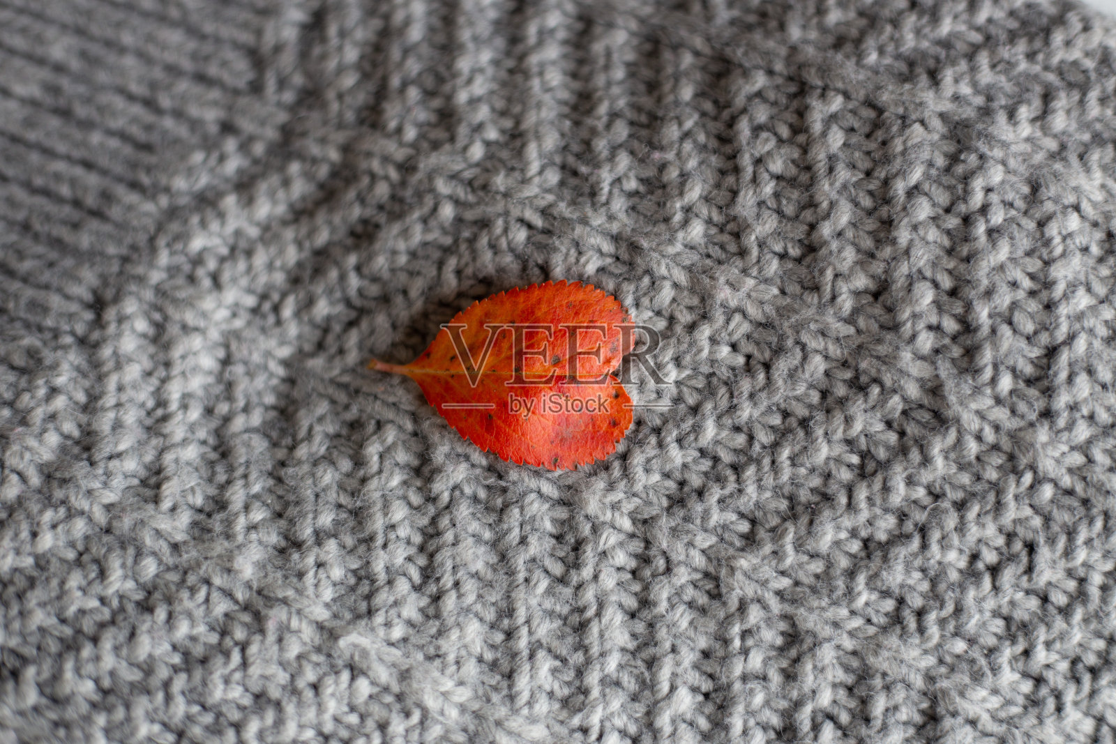 心形的红叶。情人节的概念照片摄影图片