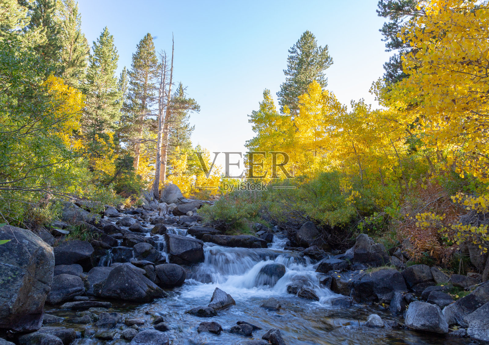 秋叶秋色的秋天季节照片摄影图片