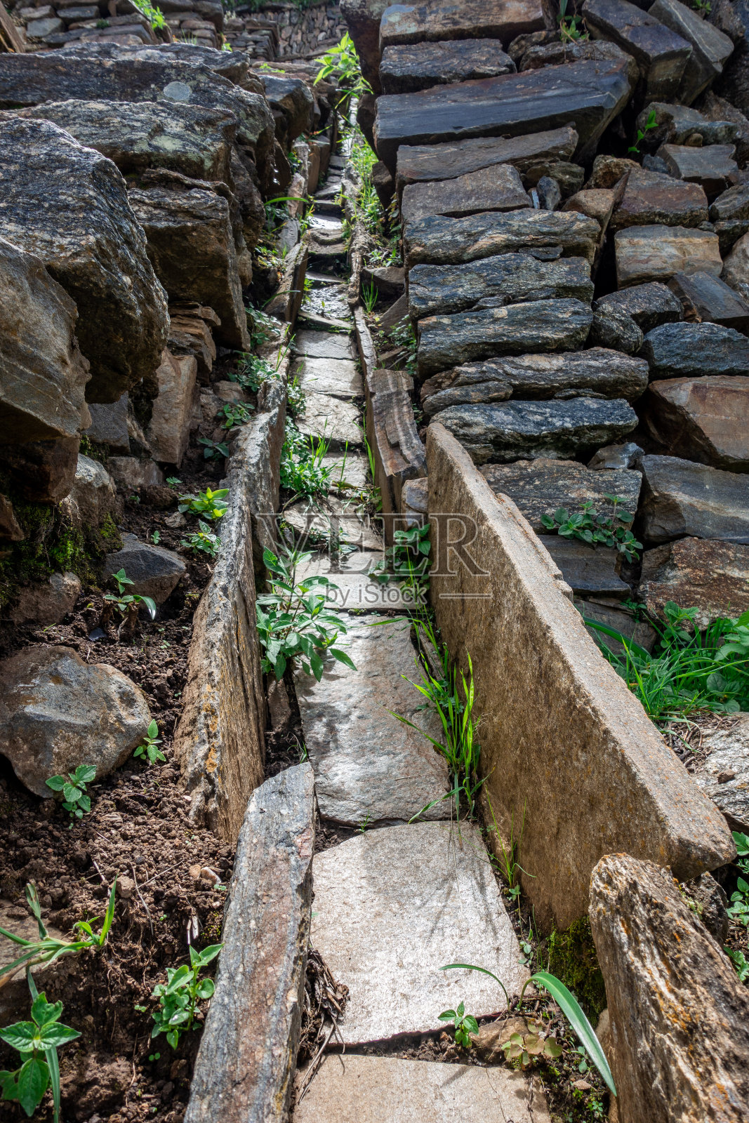 我会让他震惊照片摄影图片