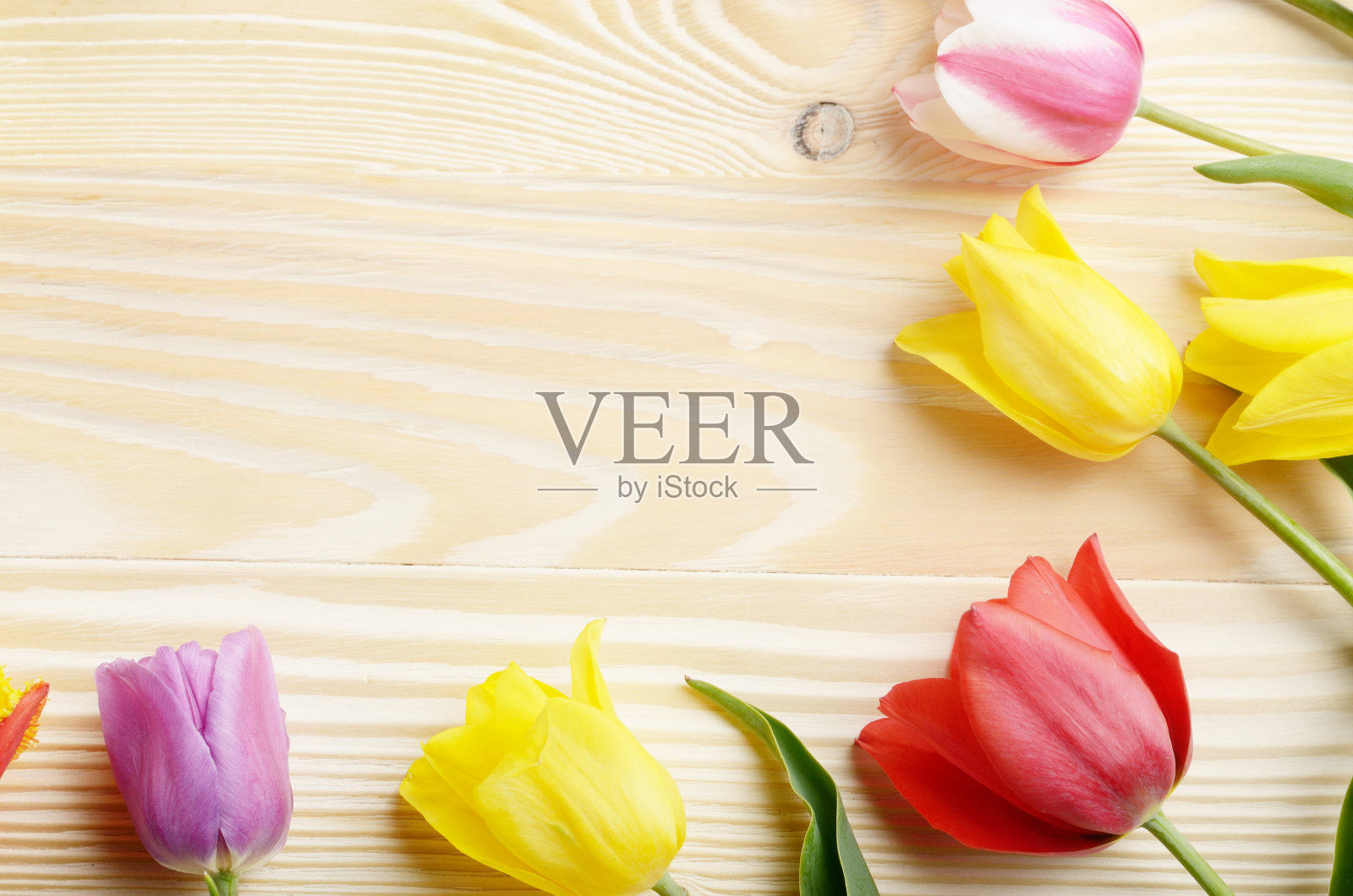 色彩缤纷的郁金香框架上的自然木制背景与文字空间照片摄影图片