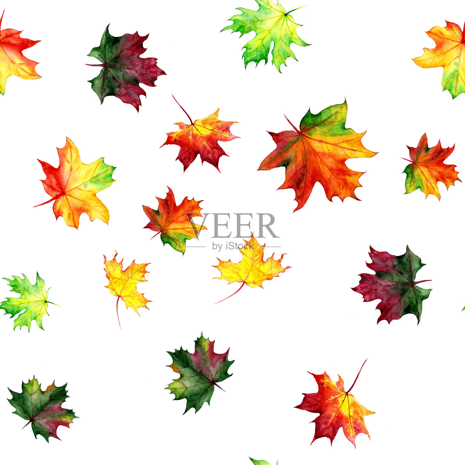 无缝图案与秋季枫叶。水彩设计的织物，包装，纸张。手绘。插画图片素材